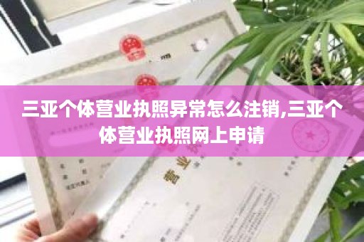 三亚个体营业执照异常怎么注销,三亚个体营业执照网上申请