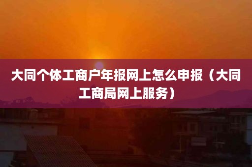 大同个体工商户年报网上怎么申报（大同工商局网上服务）