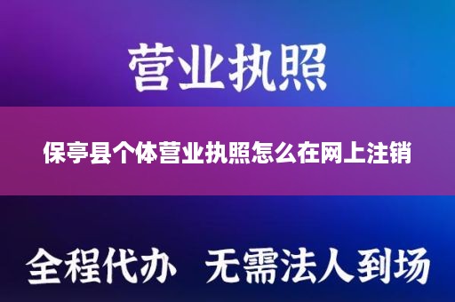 保亭县个体营业执照怎么在网上注销