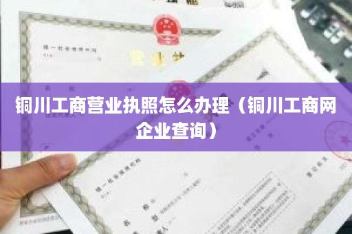 铜川工商营业执照怎么办理（铜川工商网企业查询）