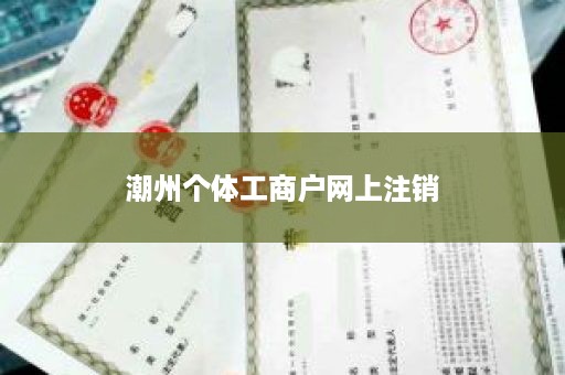 潮州个体工商户网上注销