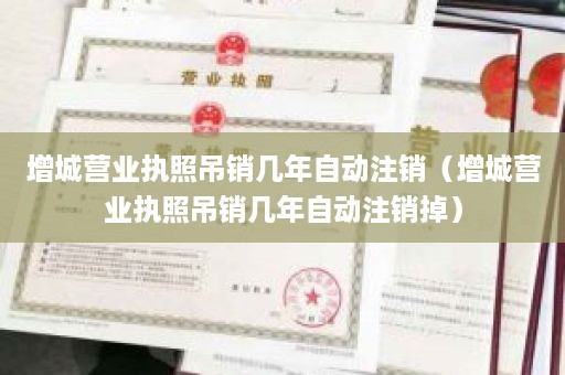 增城营业执照吊销几年自动注销（增城营业执照吊销几年自动注销掉）