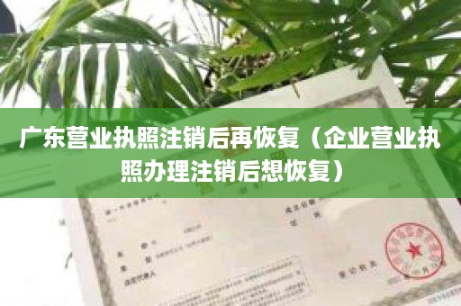 广东营业执照注销后再恢复（企业营业执照办理注销后想恢复）