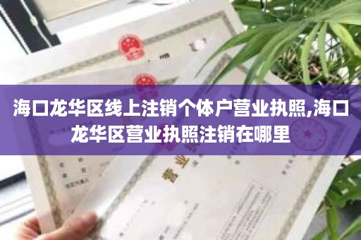 海口龙华区线上注销个体户营业执照,海口龙华区营业执照注销在哪里