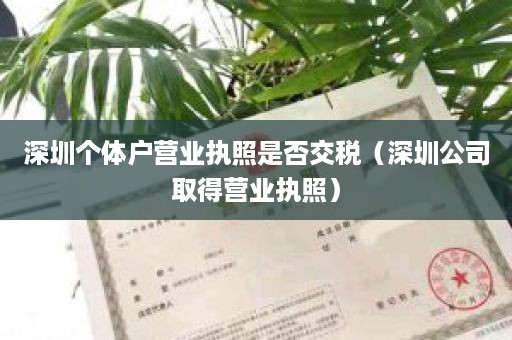 深圳个体户营业执照是否交税（深圳公司取得营业执照）