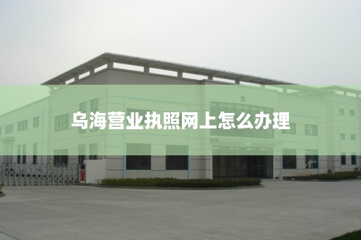 乌海营业执照网上怎么办理