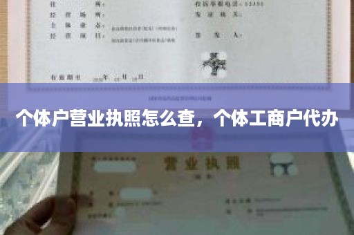 个体户营业执照怎么查，个体工商户代办