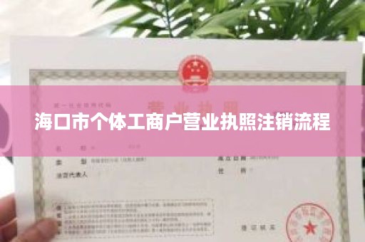 海口市个体工商户营业执照注销流程