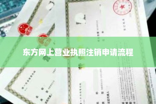 东方网上营业执照注销申请流程