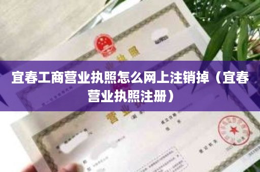 宜春工商营业执照怎么网上注销掉（宜春营业执照注册）