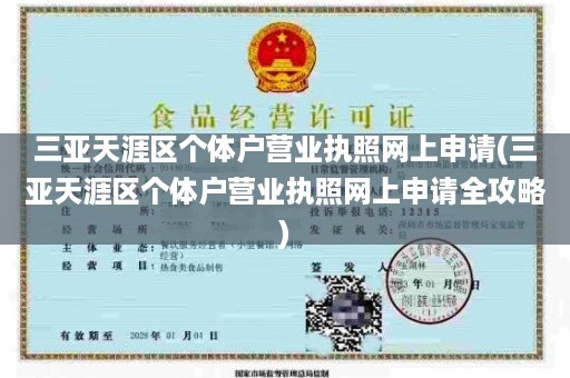 三亚天涯区个体户营业执照网上申请(三亚天涯区个体户营业执照网上申请全攻略)