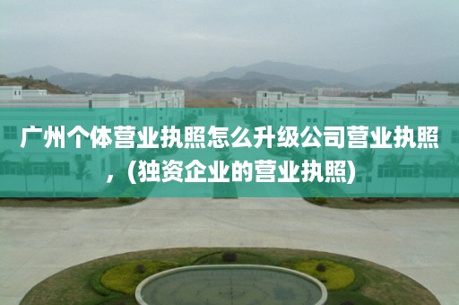 广州个体营业执照怎么升级公司营业执照，(独资企业的营业执照)