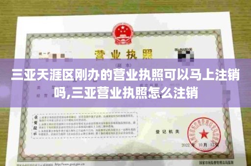 三亚天涯区刚办的营业执照可以马上注销吗,三亚营业执照怎么注销