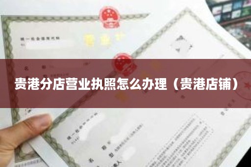 贵港分店营业执照怎么办理（贵港店铺）