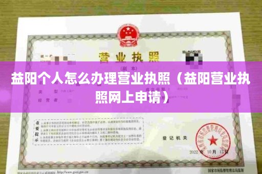 益阳个人怎么办理营业执照（益阳营业执照网上申请）