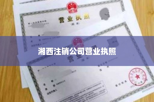 湘西注销公司营业执照