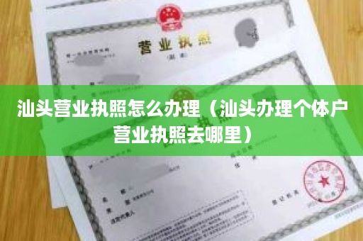 汕头营业执照怎么办理（汕头办理个体户营业执照去哪里）