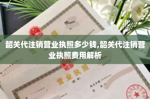 韶关代注销营业执照多少钱,韶关代注销营业执照费用解析