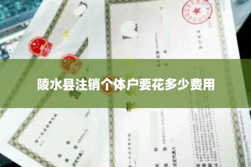 陵水县注销个体户要花多少费用