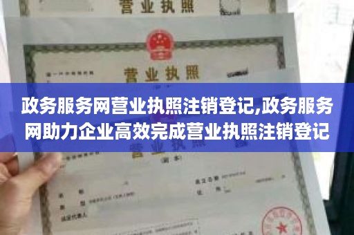 政务服务网营业执照注销登记,政务服务网助力企业高效完成营业执照注销登记