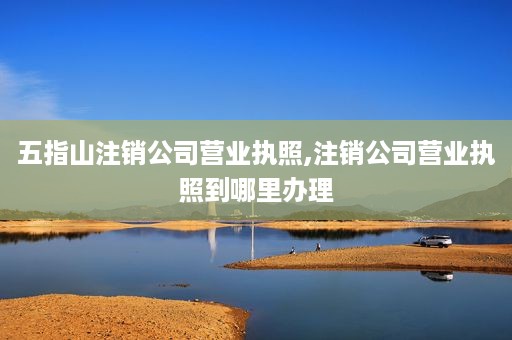 五指山注销公司营业执照,注销公司营业执照到哪里办理