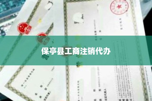 保亭县工商注销代办