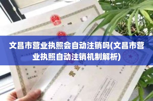 文昌市营业执照会自动注销吗(文昌市营业执照自动注销机制解析)