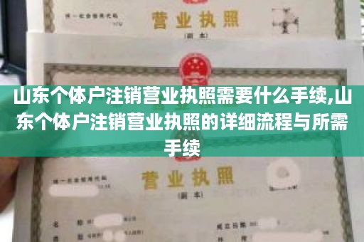 山东个体户注销营业执照需要什么手续,山东个体户注销营业执照的详细流程与所需手续