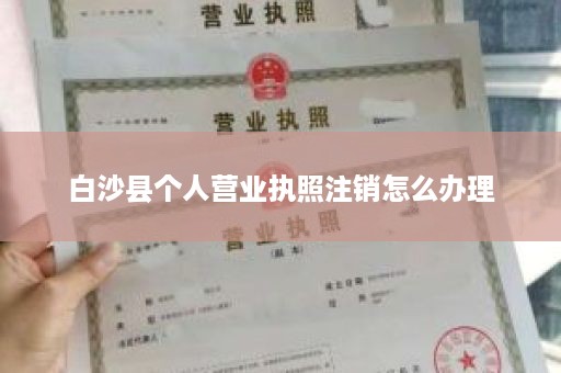 白沙县个人营业执照注销怎么办理