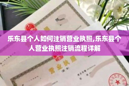 乐东县个人如何注销营业执照,乐东县个人营业执照注销流程详解