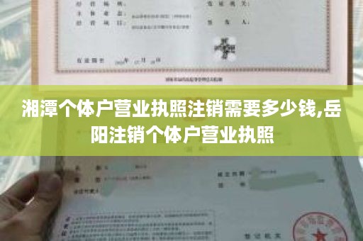 湘潭个体户营业执照注销需要多少钱,岳阳注销个体户营业执照