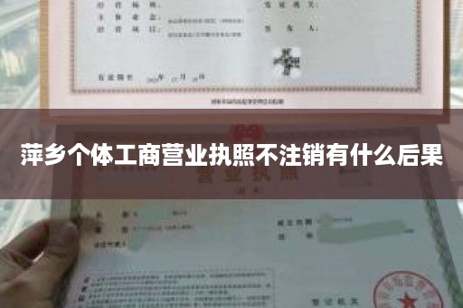 萍乡个体工商营业执照不注销有什么后果