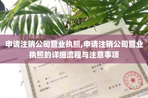 申请注销公司营业执照,申请注销公司营业执照的详细流程与注意事项
