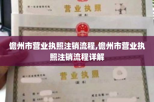 儋州市营业执照注销流程,儋州市营业执照注销流程详解