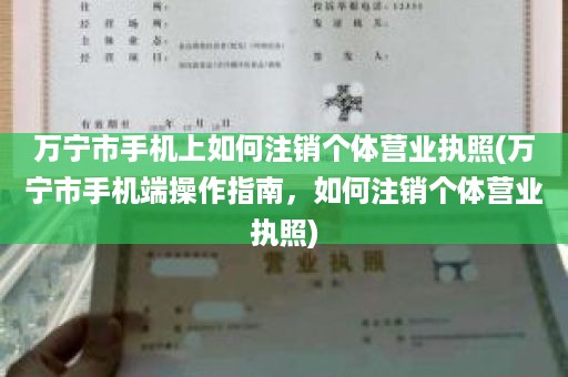 万宁市手机上如何注销个体营业执照(万宁市手机端操作指南，如何注销个体营业执照)