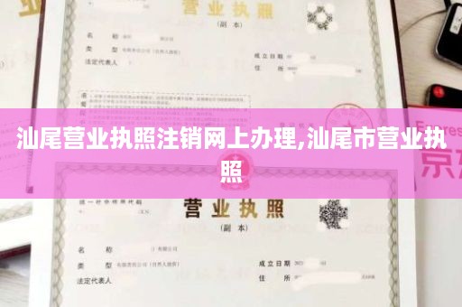 汕尾营业执照注销网上办理,汕尾市营业执照