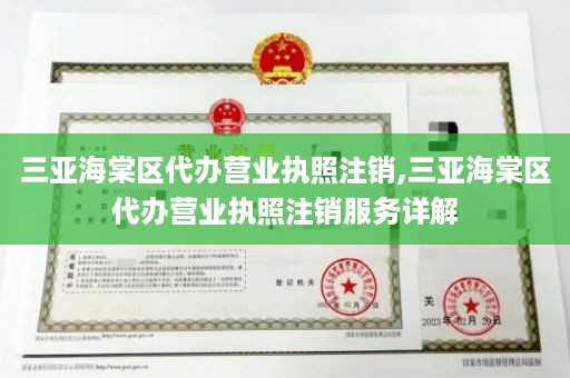 三亚海棠区代办营业执照注销,三亚海棠区代办营业执照注销服务详解