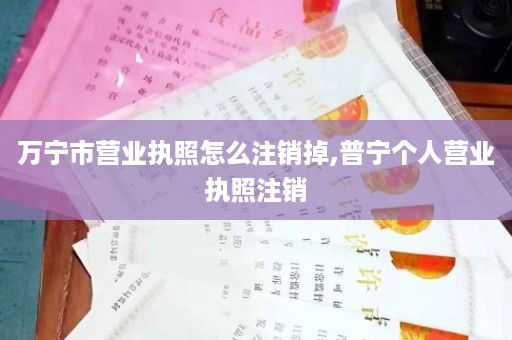 万宁市营业执照怎么注销掉,普宁个人营业执照注销
