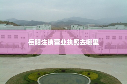 岳阳注销营业执照去哪里