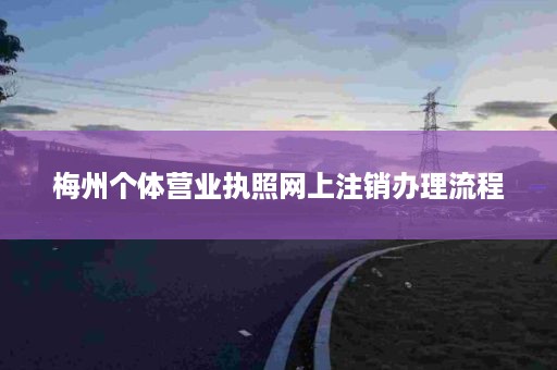 梅州个体营业执照网上注销办理流程
