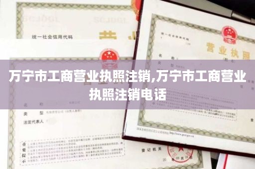 万宁市工商营业执照注销,万宁市工商营业执照注销电话