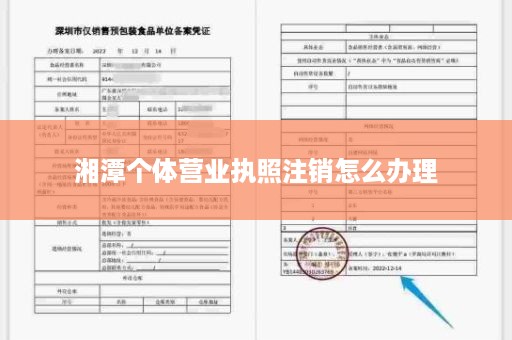 湘潭个体营业执照注销怎么办理