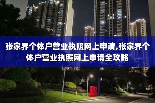 张家界个体户营业执照网上申请,张家界个体户营业执照网上申请全攻略