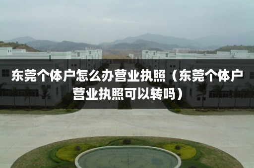 东莞个体户怎么办营业执照（东莞个体户营业执照可以转吗）