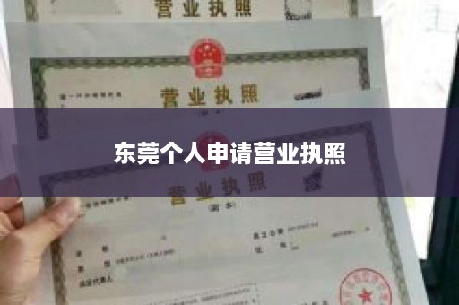东莞个人申请营业执照