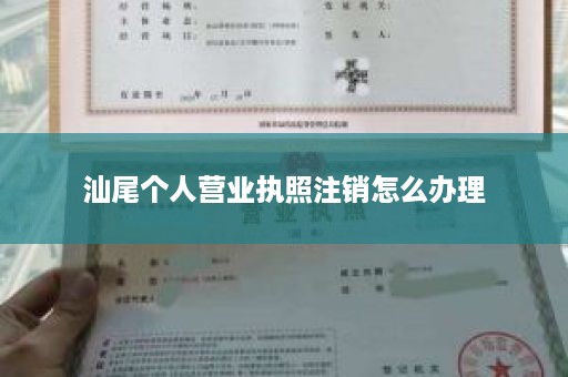 汕尾个人营业执照注销怎么办理