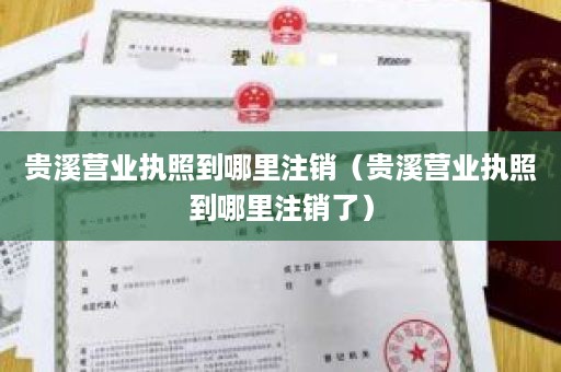 贵溪营业执照到哪里注销（贵溪营业执照到哪里注销了）