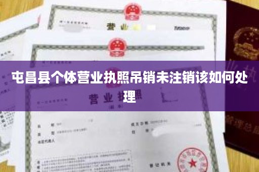 屯昌县个体营业执照吊销未注销该如何处理