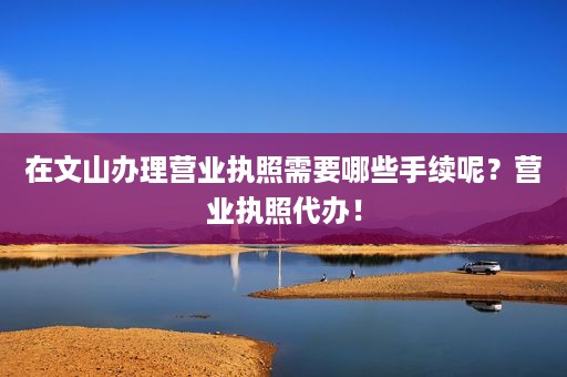 在文山办理营业执照需要哪些手续呢？营业执照代办！