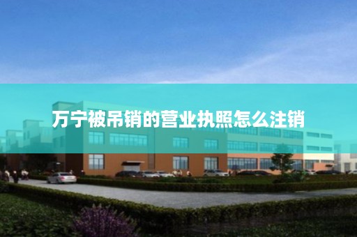 万宁被吊销的营业执照怎么注销